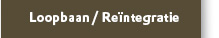 reintegratie