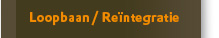 reintegratie
