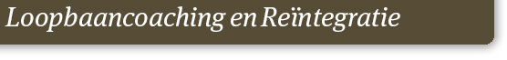 reintegratie