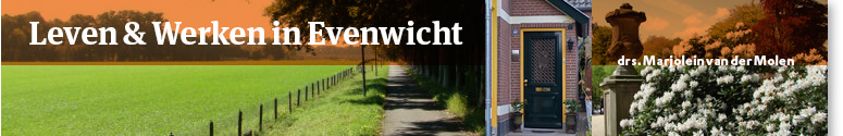 topbanner over